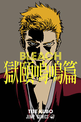 01672-Tucomicmanga-Descargar-Leer-mas-sobre-Bleach-Special-One-Shot-Gokui-Meimei-hen-Volumen-Tomo-Capitulo-1